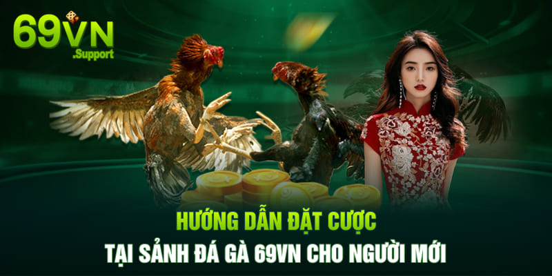 Hướng dẫn đặt cược tại sảnh đá gà 69VN cho người mới